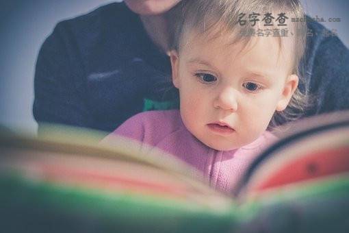 男双胞胎取名双叠字
