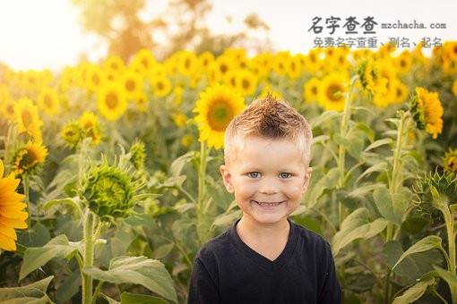 好听的名字起名技巧