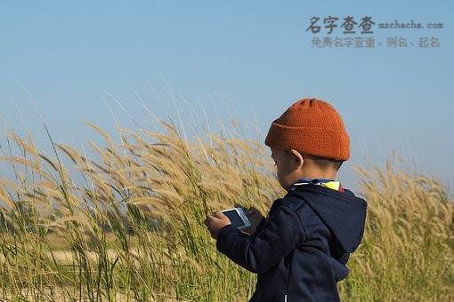 独特稀少男孩名字大全免费