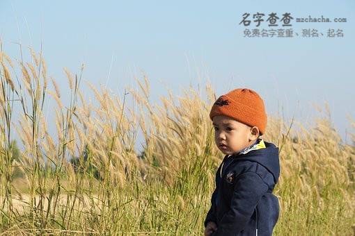 好听的名字大全