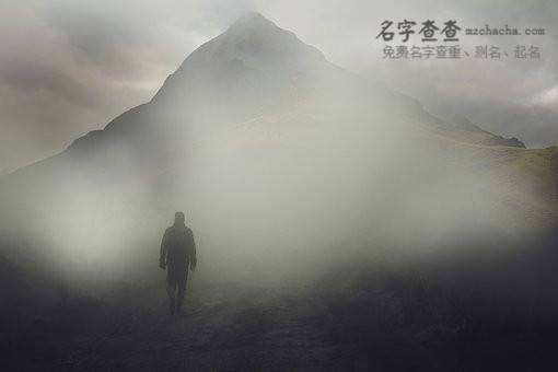 名字大全男孩姓杨