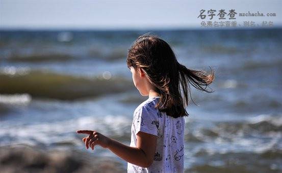 大全