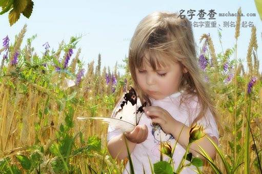 带木的女孩名字大全