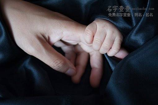 大全